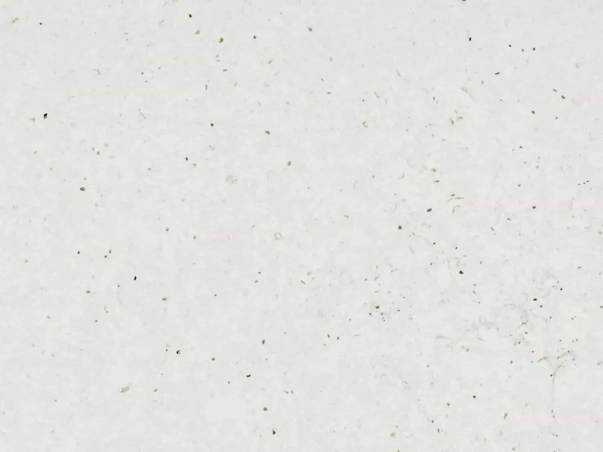 Lime Delight — Silestone — Cuarzo · Nuevo Horizonte Marmolería