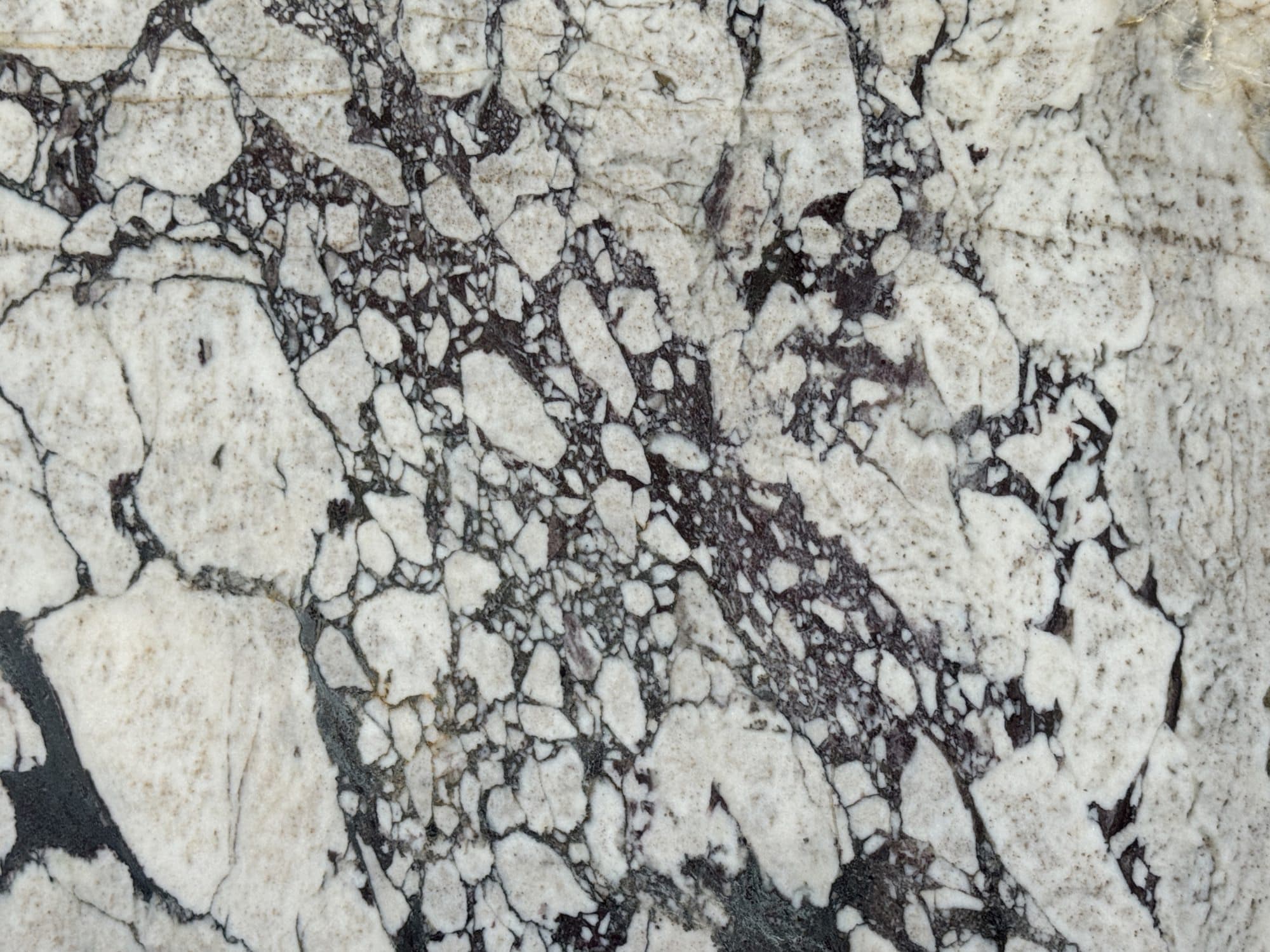 Calacatta Viola — Mármol · Nuevo Horizonte Marmolería